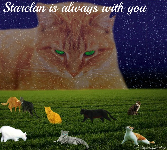 Starclan Is With You