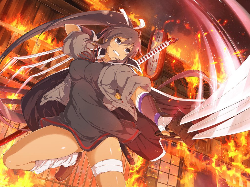 Senran Kagura New Link - Wallpaper by MomijiHayabusa on DeviantArt