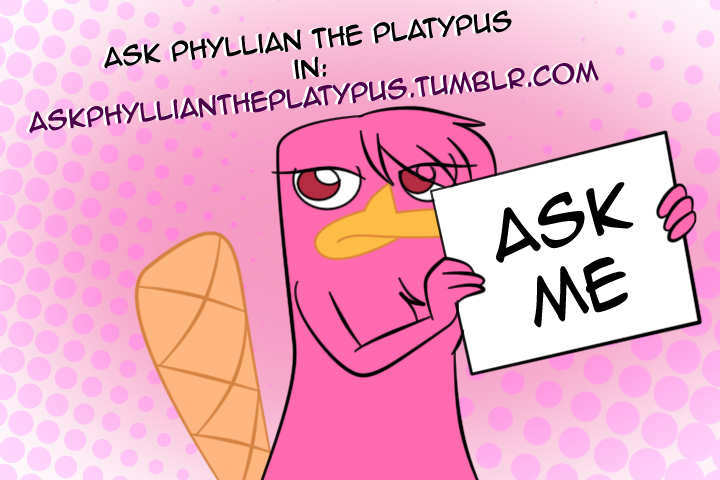 Ask Phyllian the Platypus in Tumblr!