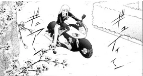 Girl and a Hayabusa 7