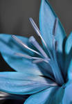 Blue Lily by satellite-unknown