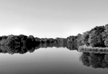 Lake Bastrop -greyscale-