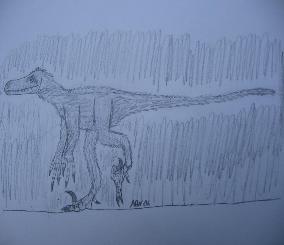 Raptor Sketch by Pizzasaurus on DeviantArt
