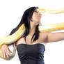 The Python Whisperer I