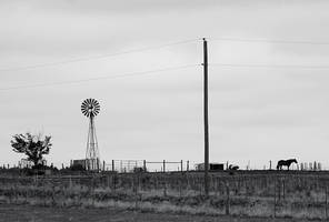 Windmill and Horse