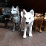 wolfs rain pack