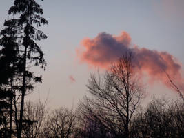 Pink cloud