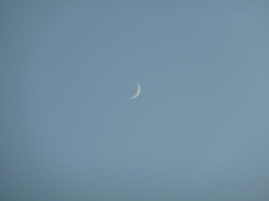 Lttle Moon Little moon by spiritdaughter on DeviantArt