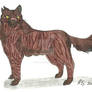 Warrior Cats- Tigerstar design