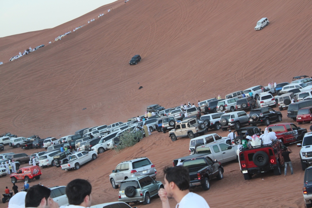 Friend Gathering In Desert