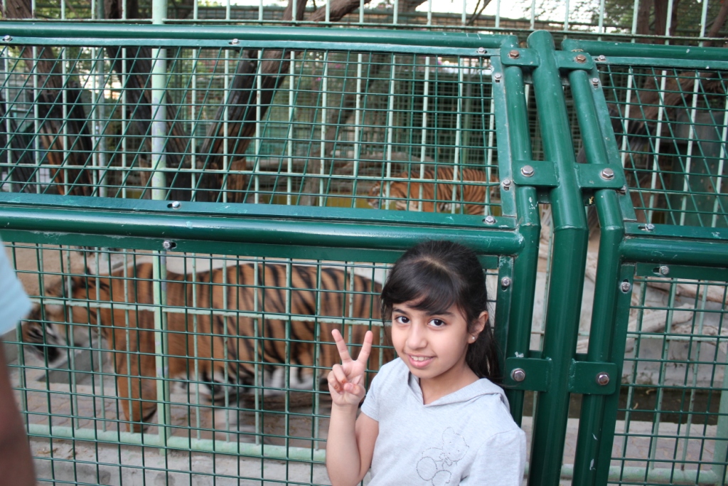 Sis With the Tiger