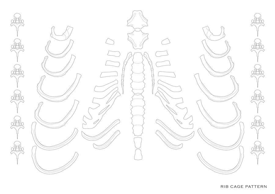 Rib Cage Pattern by Dazza4 on DeviantArt