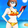 Art 281 Swimsuit Velma
