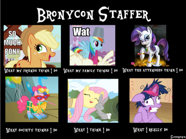 Being a Bronycon Staff Member