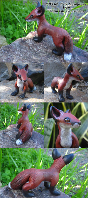 Red Fox - Commission by Ilenora Red Fox - Commission by Ilenora