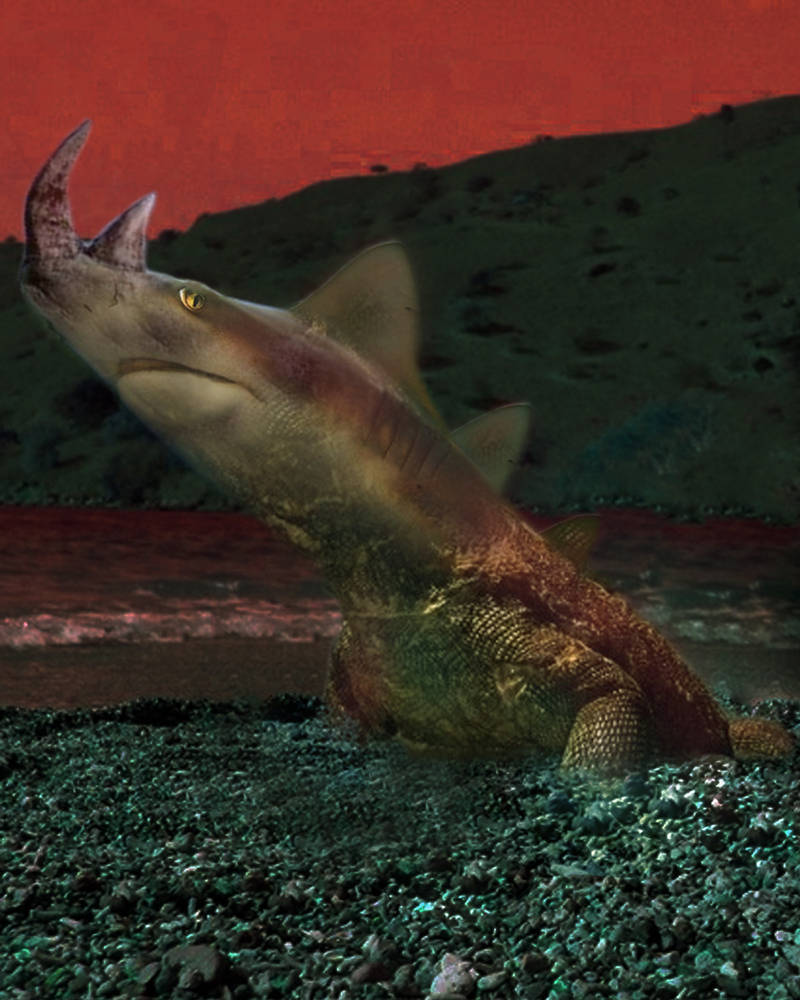 Animal Morph by theghostoffire on DeviantArt