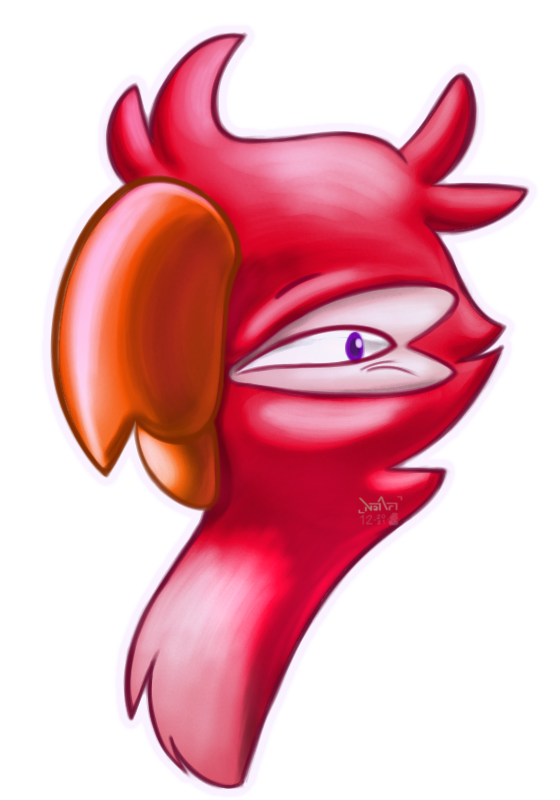 Steve Headshot