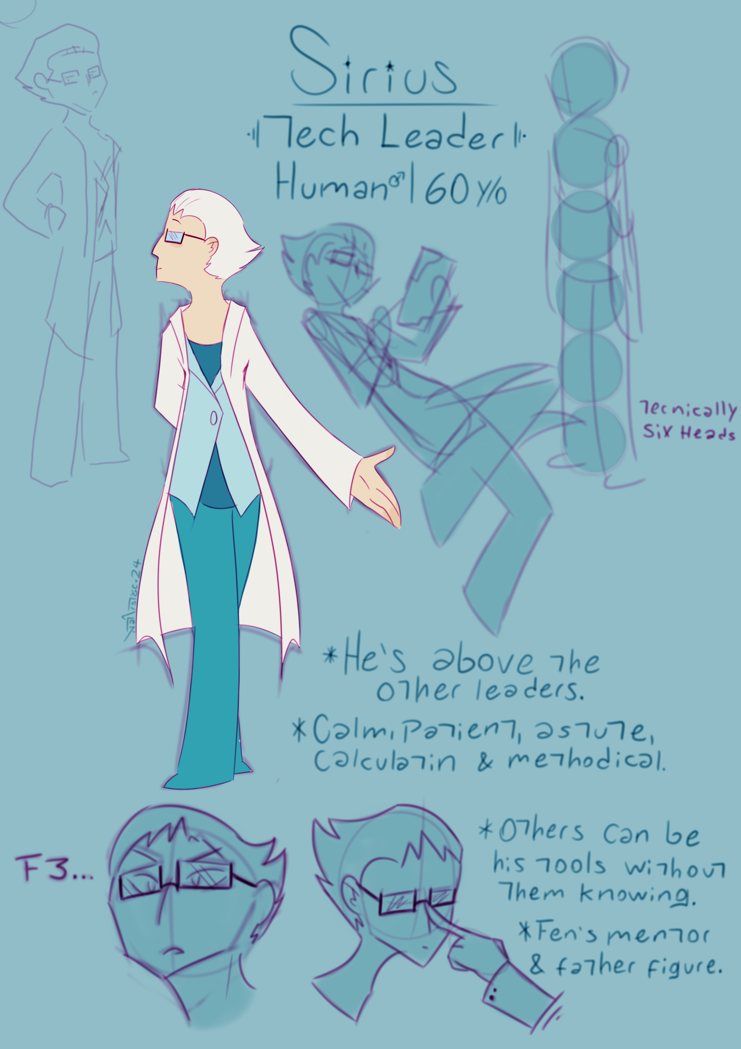 Sirius, Tech Leader - Ref