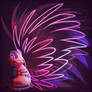 Heart n Music