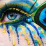 The eye of the peacock
