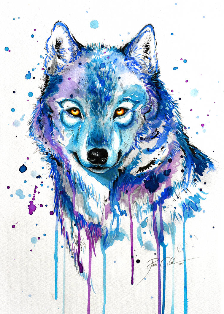 Цветные картинки волка. Волк рисунок. Волк акварелью. Рисунки цветные красивые. Воля рисунок.