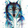 Dark Wolf -on sale-