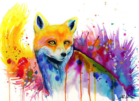 The fox -on sale-