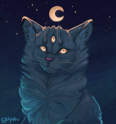 Star Cat