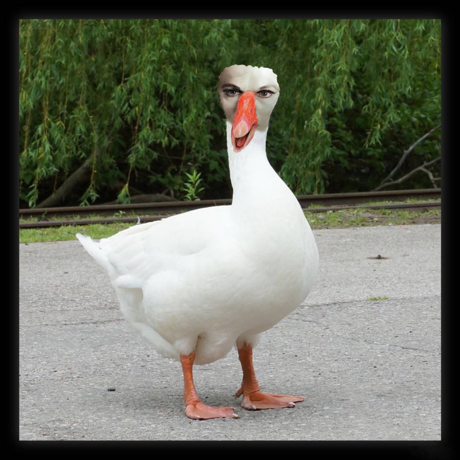 Goosed by sophietransforms on DeviantArt