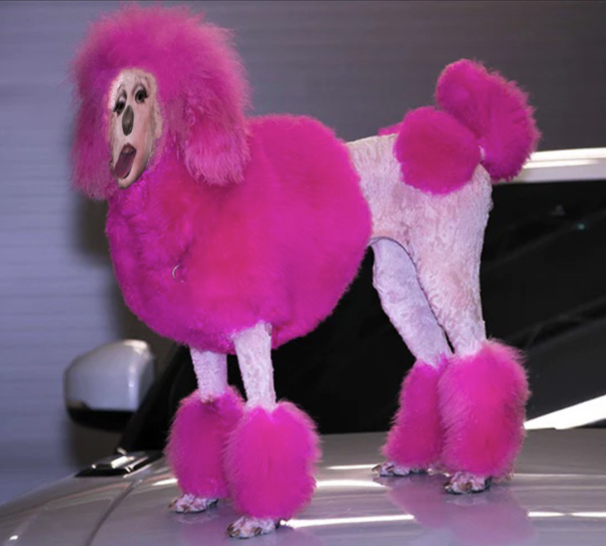 Fancy Puddle Pink poodle by sophietransforms on DeviantArt