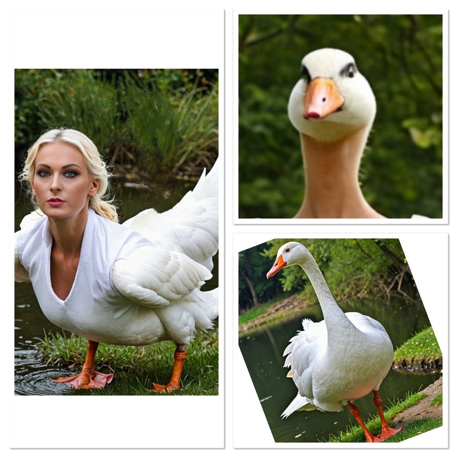 Deviantart Goosed Totally goosed by sophietransforms on DeviantArt
