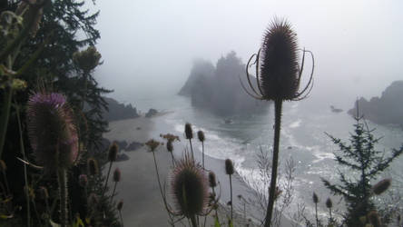 Oregon Coast