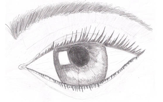 Eye (sketch)