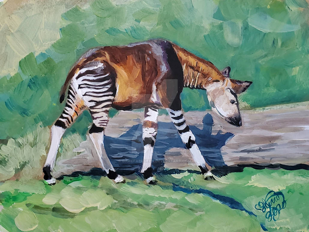 Okapi by DarkFaeQueen on DeviantArt