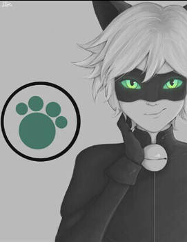 Chatnoir 