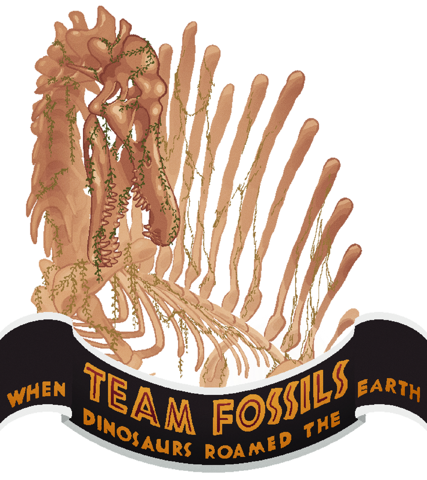 TEAM FOSSILS CARD by NeensKay on DeviantArt