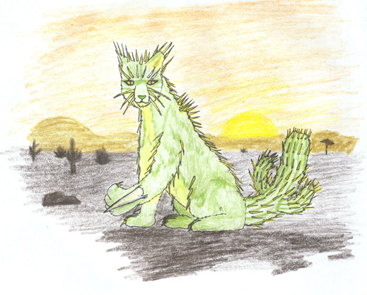 Cactus Cat at sunset