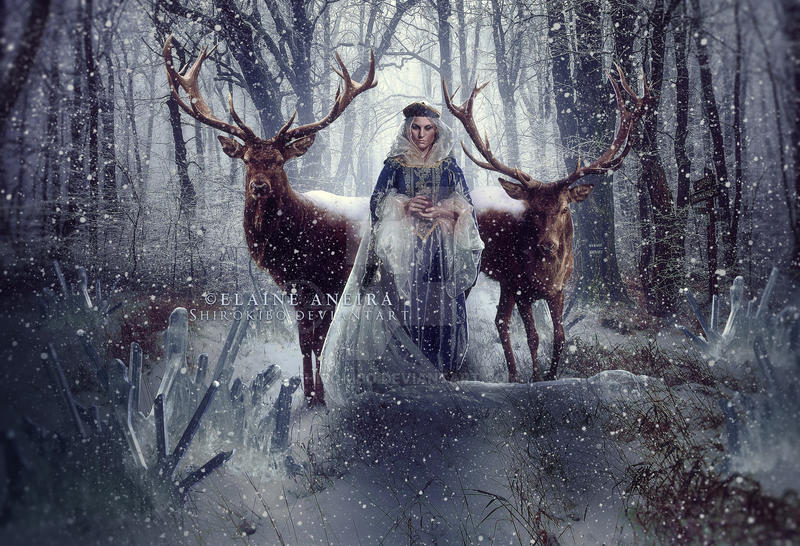 Snow Queen by Shirokibo Snow Queen by Shirokibo