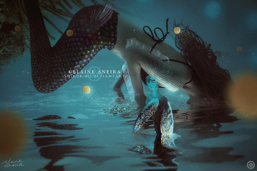 Slow Down by Shirokibo