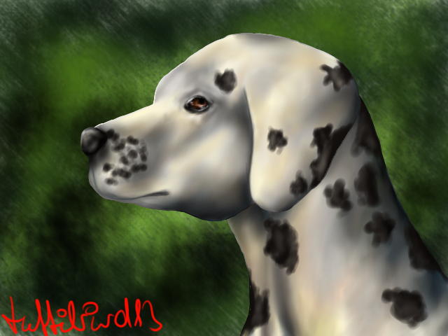 Dalmatian