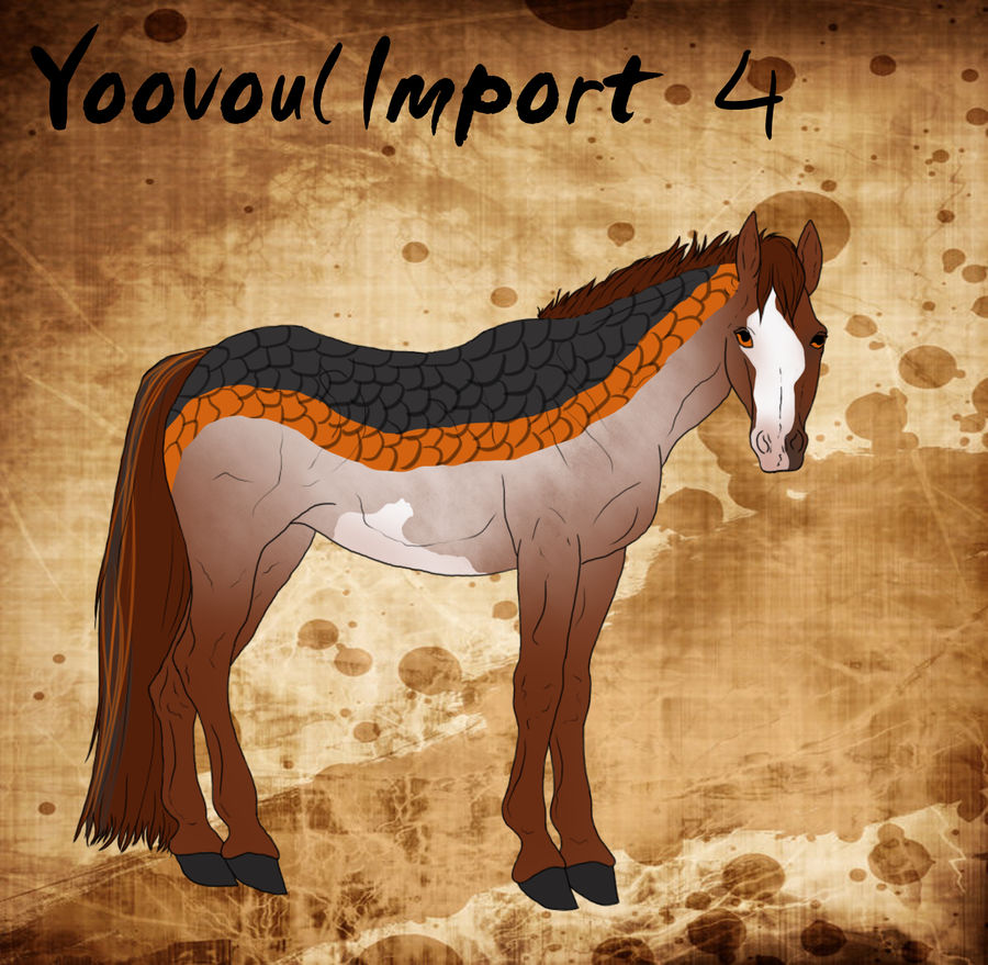 Yoovoul Import 4