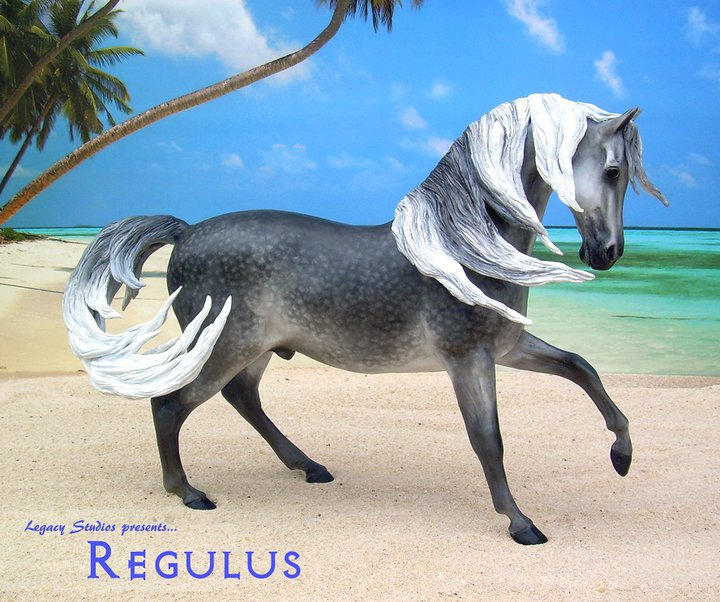 Regulus by LegacyModelHorses on DeviantArt