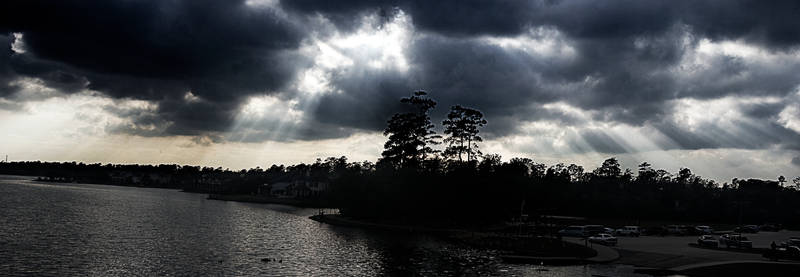 Bridge Over Lake Woodlands