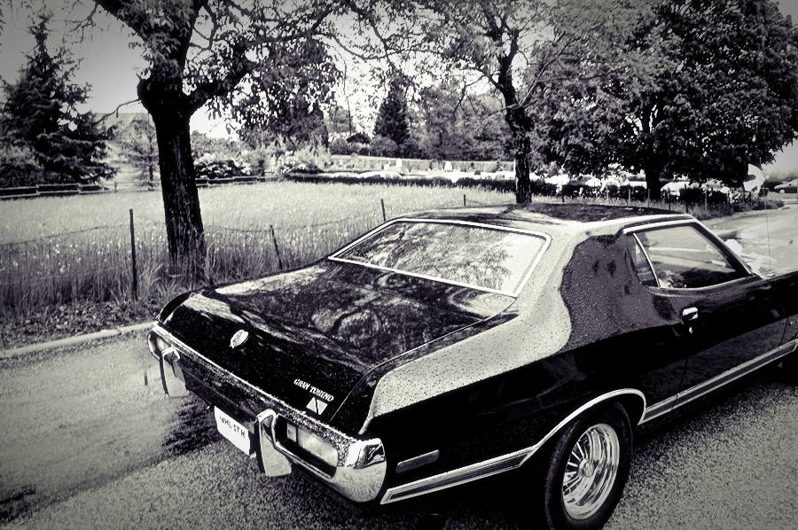 My Gran Torino II