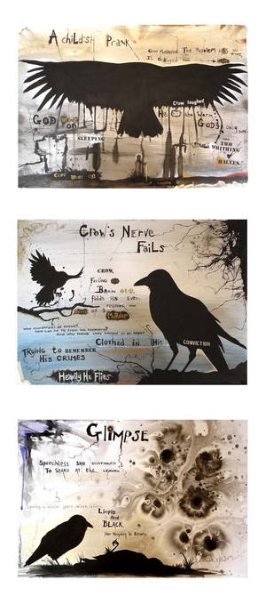 crows