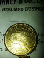 U.S. Gold Eagle Dollar by menapia