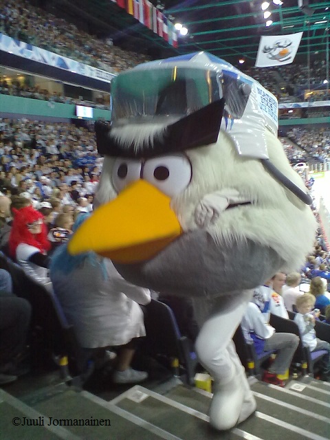 FRA-FIN Hockey Bird