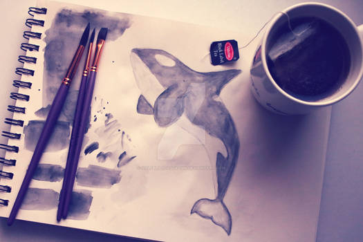Orca painting