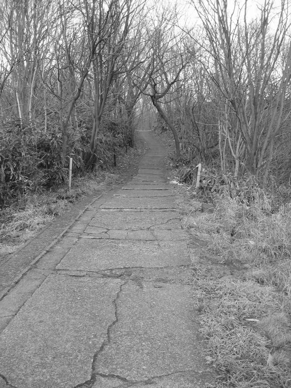 The PathWay by chronophrix on DeviantArt