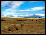 Harvest by Ballisticvole